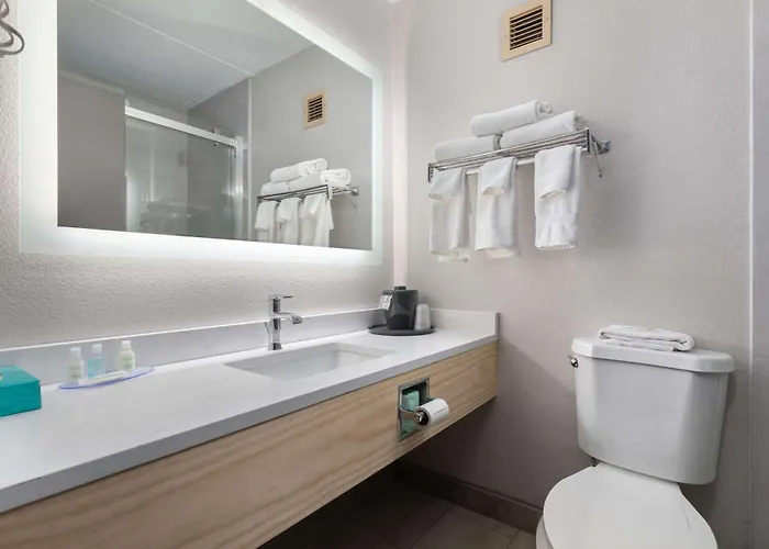Clarion & Convention Center 3*
